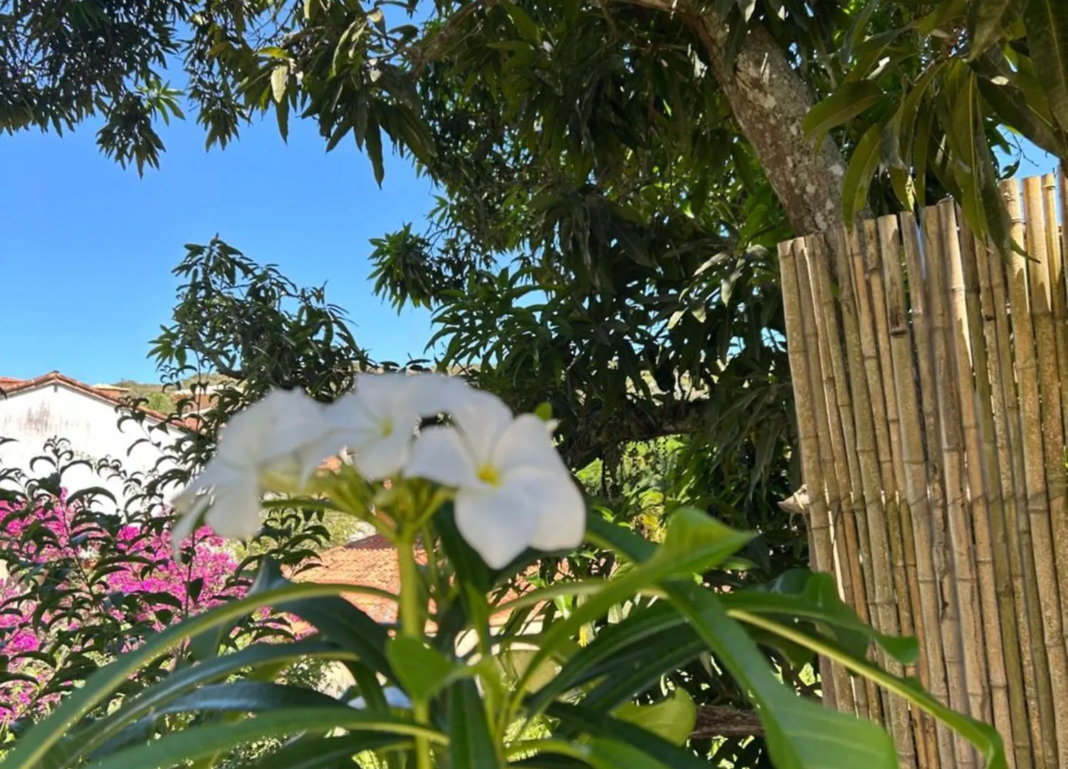 Loft 8 Min Caminhando Ate A Rua Das Pedras Armacao dos Buzios